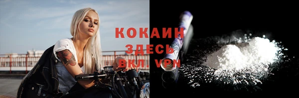 стафф Алзамай