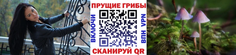 где купить наркоту  Спасск-Рязанский  Псилоцибиновые грибы Magic Shrooms 