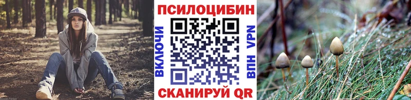 Псилоцибиновые грибы MAGIC MUSHROOMS Спасск-Рязанский