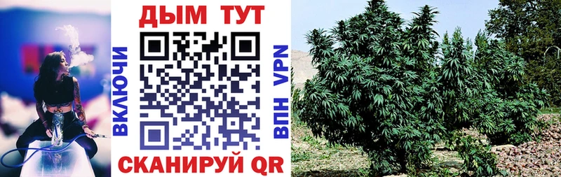 Бошки марихуана Ganja Спасск-Рязанский